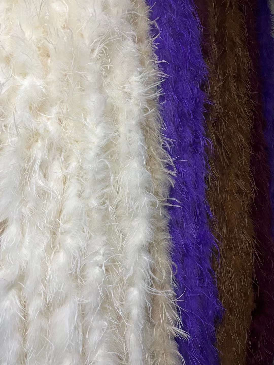 Ostrich Feather