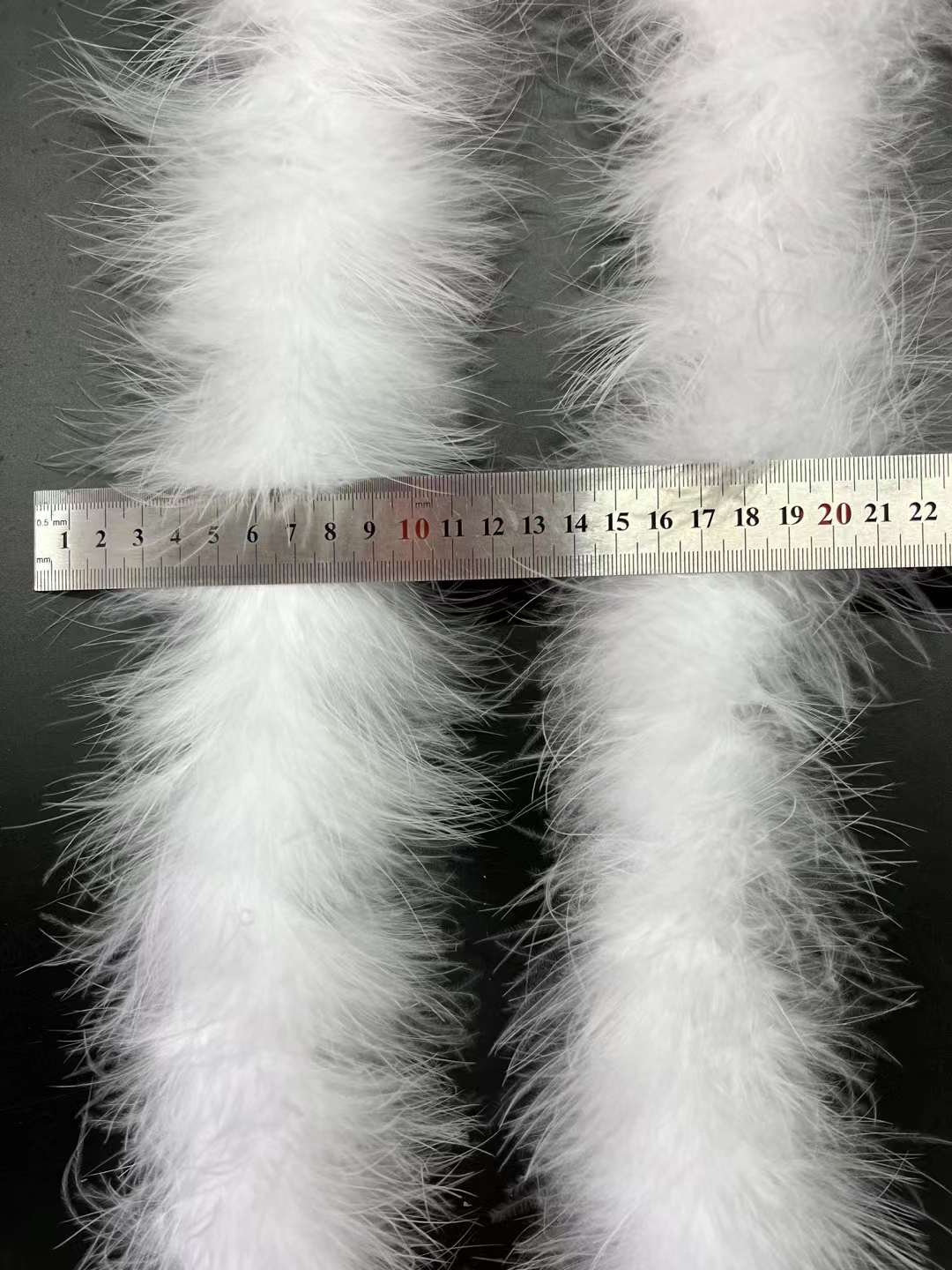 Ostrich Feather