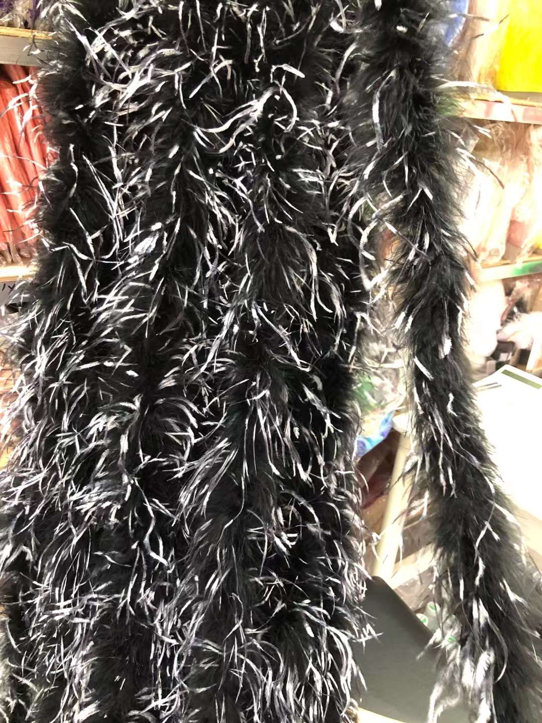 Ostrich Feather